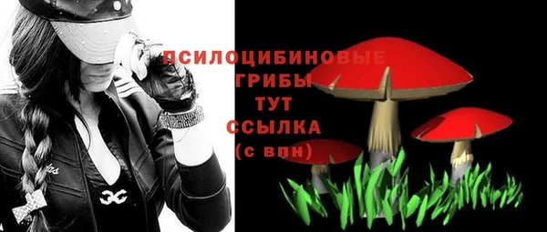 эйфоретик Богородицк